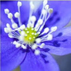 QuinnTyrese's profile picture. Spiritual awakening is about waking up from your ego. It is not about awakening the ego. –Sampo Kaasila