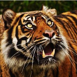 HERNEBAY365's profile picture. 