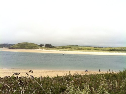 hay40189's profile picture. 