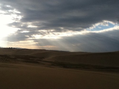 dogmanlost's profile picture. イヌヒトの中の人