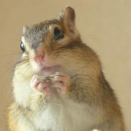 シマリスと落語が好きな食いしん坊です