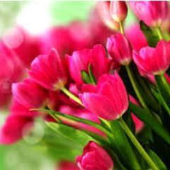The supreme Self is unborn and undying.-Atma Upanishad