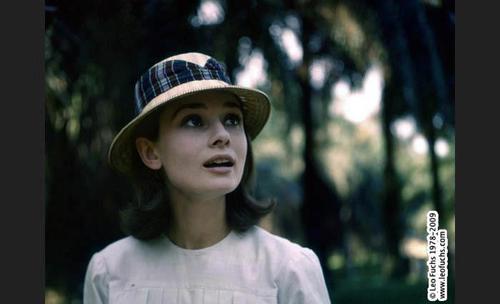 TCOFF12's profile picture. The Cemetery of Forgotten Films - Blog about movies, dvds, festivals, news.