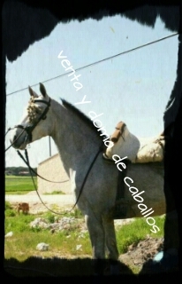 isicuriel's profile picture. 