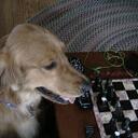 Max Wulff - @Maxman789 - Twitter