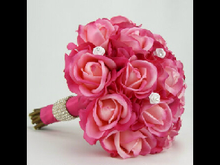 saajjada's profile picture. 