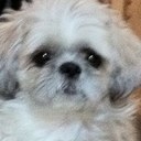 Susan Jeffrey - @sue2109 - Twitter