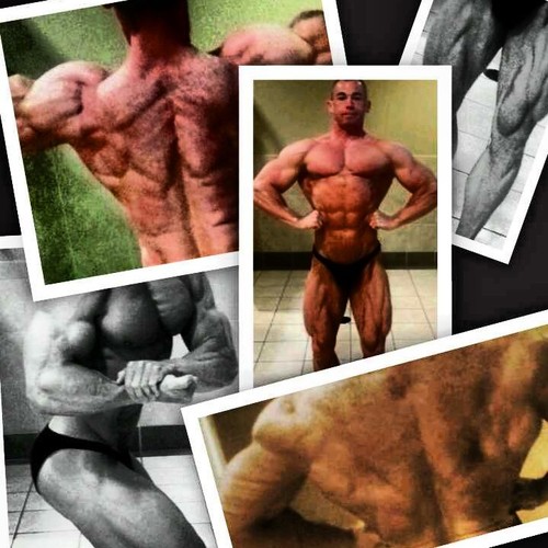 Police officer/K9 handler/SWAT operator. Natural bodybuilder and avid Harley Davidson motorcycle rider!