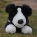 Susan Reilly (@susiesue65) Twitter profile photo Susan Reilly (@susiesue65) Twitter profile photo