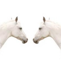 Steve Jobs calls me the formidable psychic and distracted H'wood writer, and my role is to open the 2nd dimension -w/funds -nd bring them back w/o religion