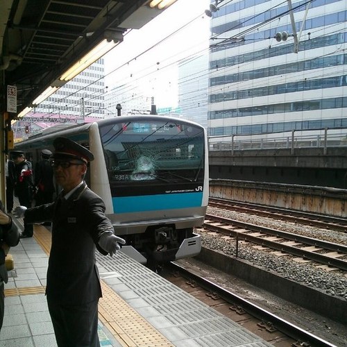 tokyotech448's profile picture. 