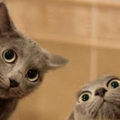 I am a person with humor! Follow me if you want some fun! BTW I will follow back!!