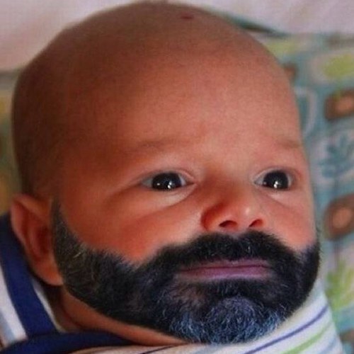 Hey! Everyone if you want to look at funny pictures you have to follow. Thanks-x