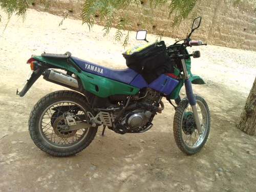 devilbox2's profile picture. 