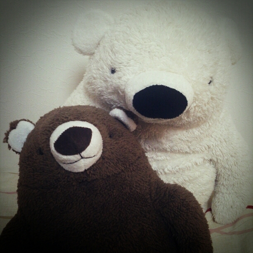 MontBlanc_LL's profile picture. 鳥越/二水/富大*ﾊﾞﾄﾞ部  新しくｱｶｳﾝﾄ作りました٩(●˙ω˙●)۶ﾌｫﾛｰしてくれたら嬉しいﾃﾞｽ!!!