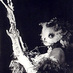 Lulu (@zaopony) Twitter profile photo Lulu (@zaopony) Twitter profile photo