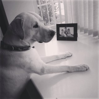 ConnorRay214's profile picture. 