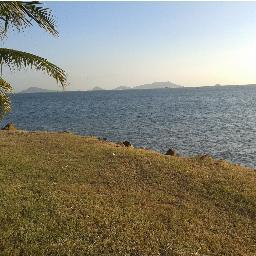 lllttv5647's profile picture. 