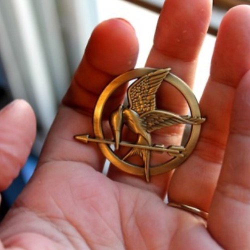 Follow us for everything Panem related! Read our twitlonger for more information! Affiliated with @PostTheLovePN