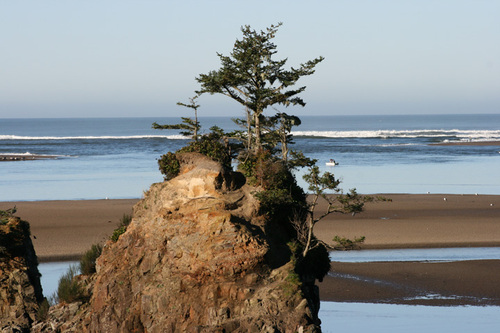 waldportbeach's profile picture. Central Oregon Coast's best value, right on Alsea Bay and close to Newport and Yachats!