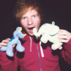One Direction 5 Seconds Of Summer Ed Sheeran ♡