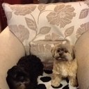 Ben Poston - @pbennnie - Twitter