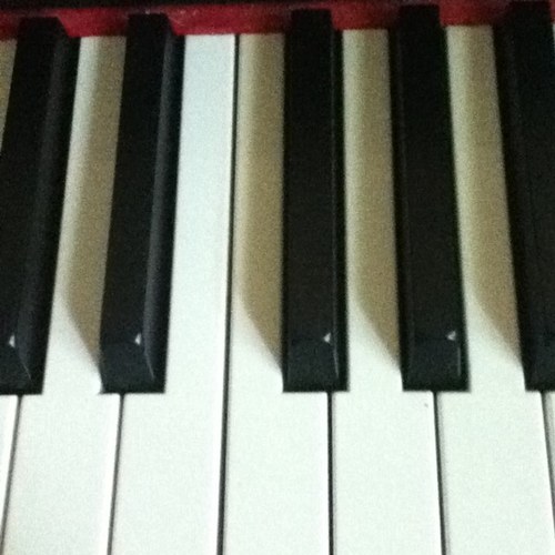 ninjanoah1014's profile picture. 