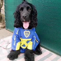 silveira002's profile picture. 