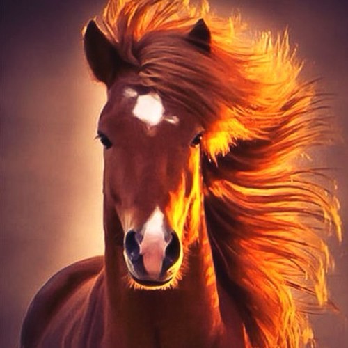 proASSA's profile picture. 