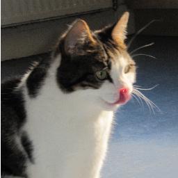 _Tamaa_'s profile picture. Currently being even more boring than ever before...