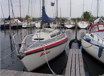 tiuszweep's profile picture. 