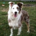 Beth McCord - @Beth_McCord - Twitter