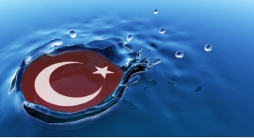 AyseGedikli's profile picture. 