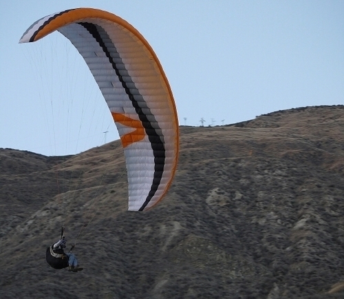 PeterRy94237365's profile picture. 