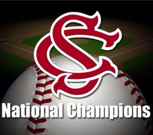 Gamecock Baseball ⚾⚾⚾⚾⚾⚾⚾⚾⚾⚾⚾⚾⚾⚾⚾ USC