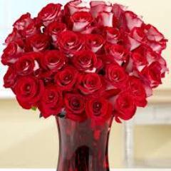 WoolfeMom's profile picture. 