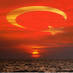 TC.Ne Mutlu Turkum (@yasarali_32) Twitter profile photo