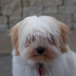 minalabanina's profile picture. interiors • photography • gourmet baking