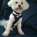 DEREK FUDGE - @derekfudge46 - Twitter