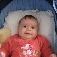 Terki Hassaine (@terkirafikh) 's Twitter Profile