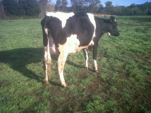 Pere_sb's profile picture. 