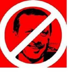 gulengulden's profile picture. 