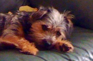 NicR8m's profile picture. Treat others as you expect to be treated :)