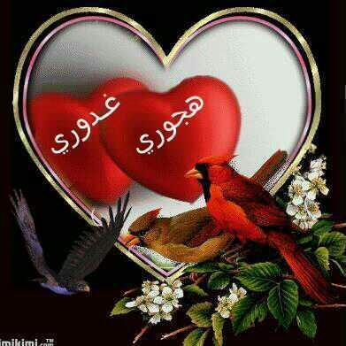 حسسابي الجديد aaa141555@