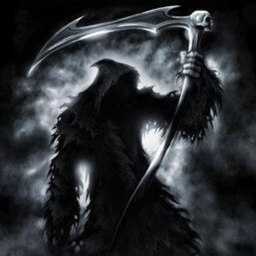 taloscurz's profile picture. 