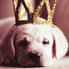 I'm Warrior c:
