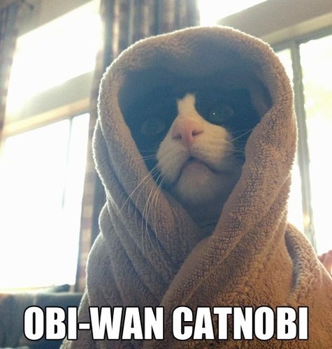 Model railroader, Magic: the Gathering player, Star Wars enthusiast and LOLcat lover