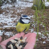 Catherine Webster (@webster_cat) 's Twitter Profile Photo