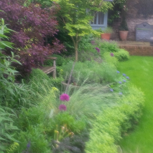 PiersBee's profile picture. Gardener and Garden Designer in London and beyond...
