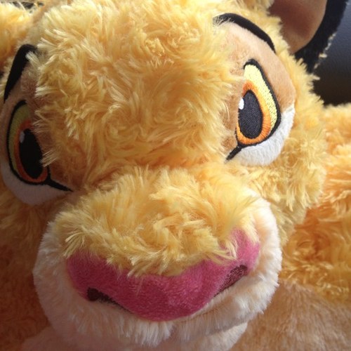 lisa_dimond's profile picture. 